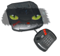 Atari Jaguar